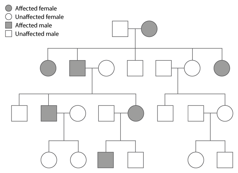 Autosomal Dominant Inheritance Knowledge Hub