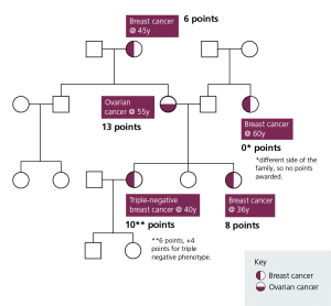 Manchester (evans) Score — Knowledge Hub