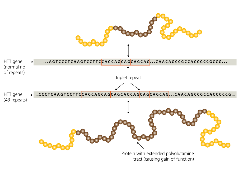 repeat-expansion-disorders-knowledge-hub
