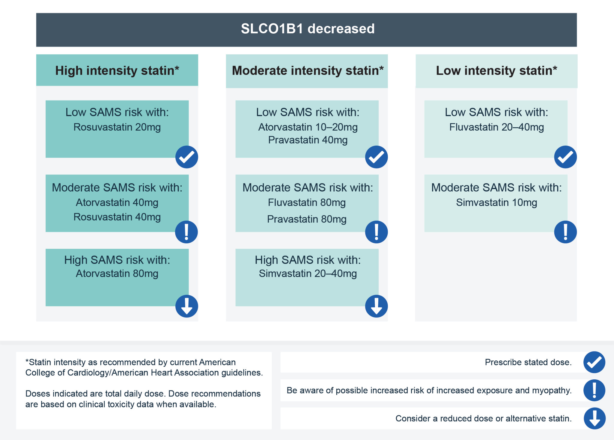 statins-knowledge-hub