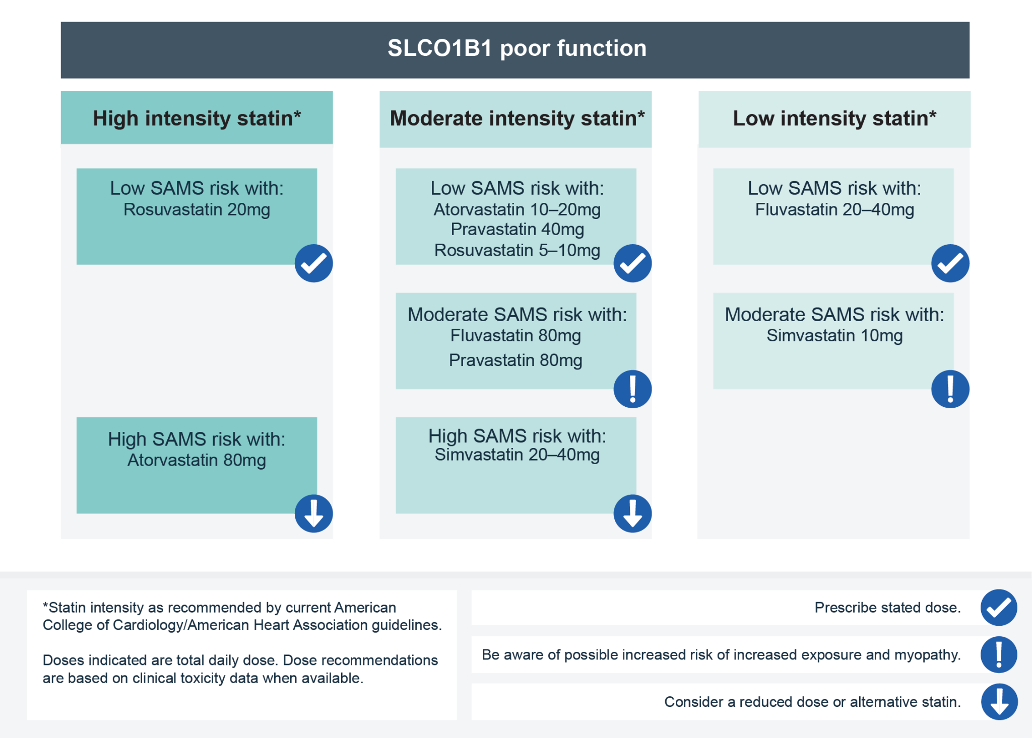 statins-knowledge-hub