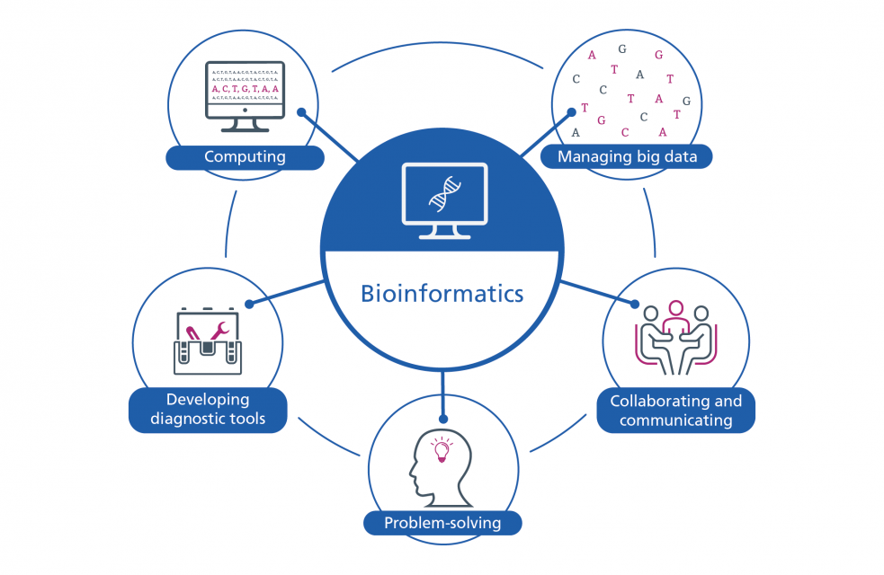  What Is Bioinformatics Genomics Education Programme