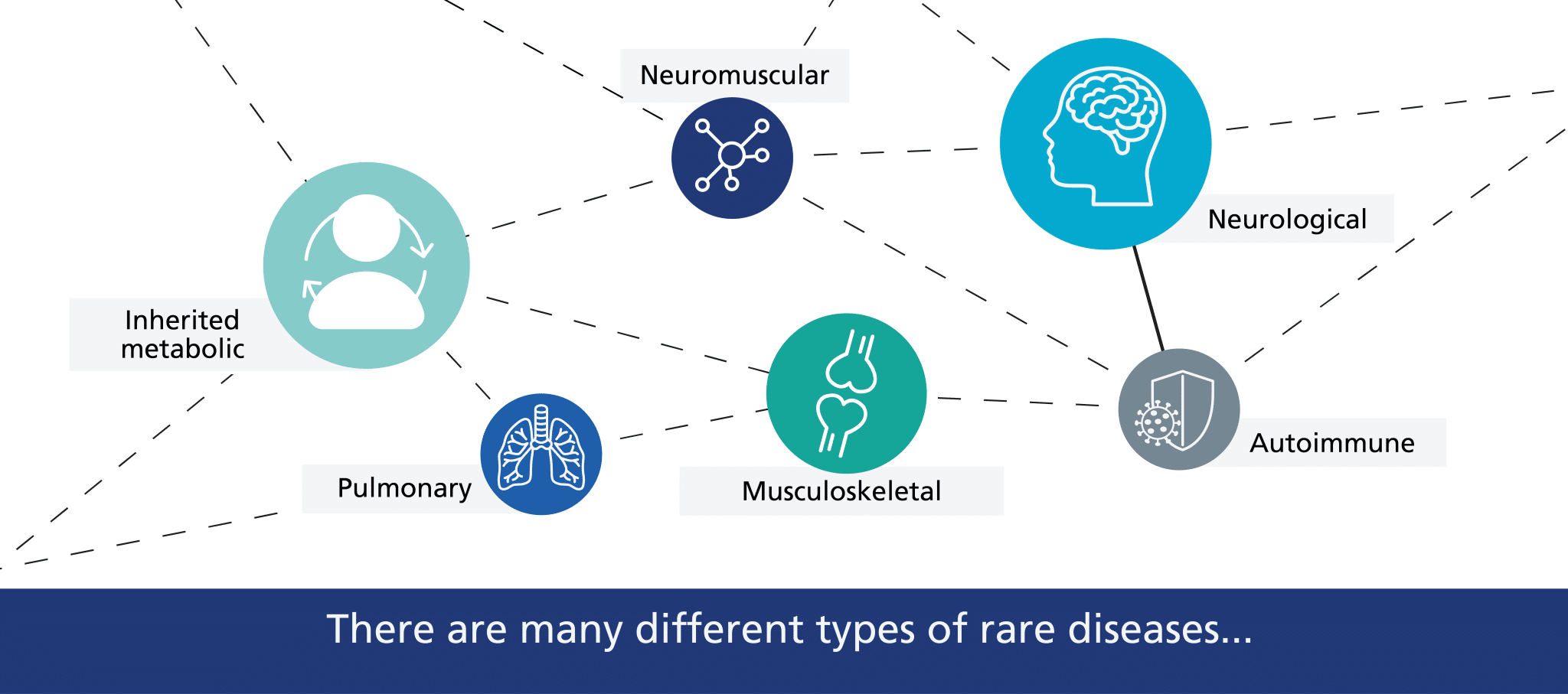 Some of the different types of rare diseases, including neurological, musculoskeletal and inherited metabolic.