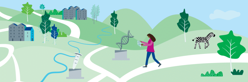 This illustration shows a woman with long dark hair walking along a path looking down at a map. She is surrounded by hills and buildings, and the path leads off into the distance. Behind her stands a zebra. She is walking past a double helix statue.